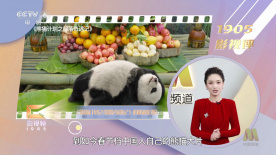 国模张雪馨大胆私拍xxxx